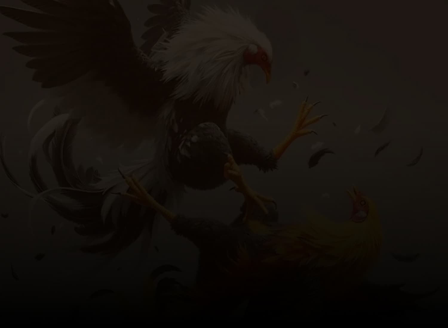 Cock Fight